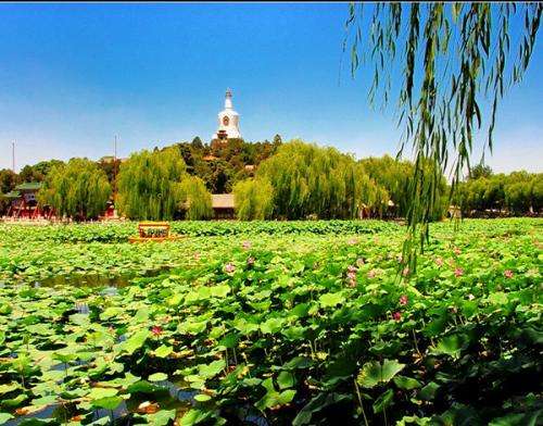 习近平厚植绿水青山 描绘美丽中国新画卷