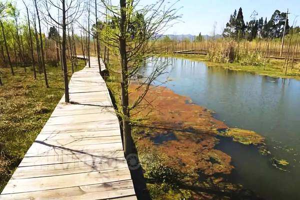 昆明两湿地获国际风景园林师联合会最高奖项